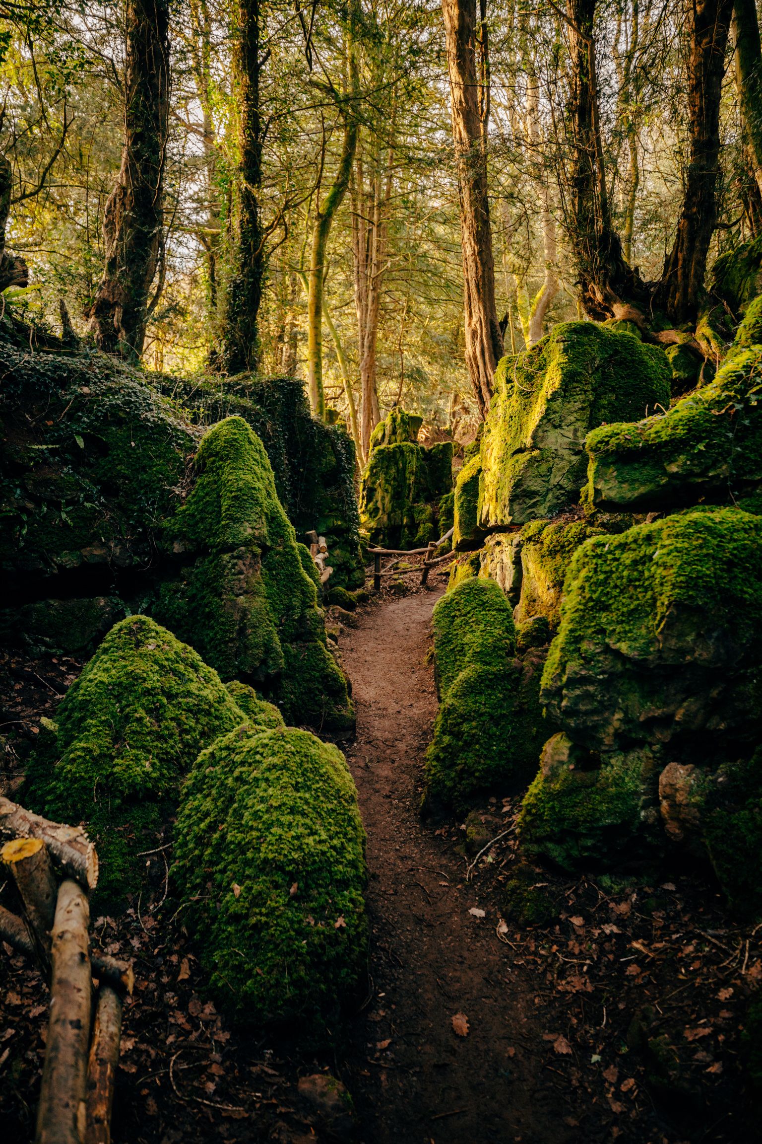 dark tourism forest of dean